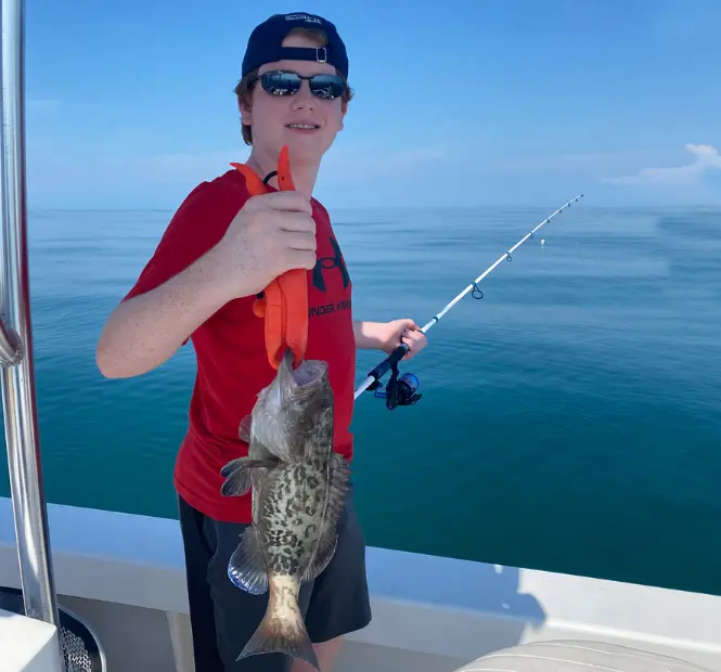 grouper caught on sarasota fishing charter